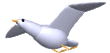 gaivota imagens-animadas-gif